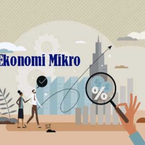 Pengertian Ekonomi Mikro dan Cabangnya